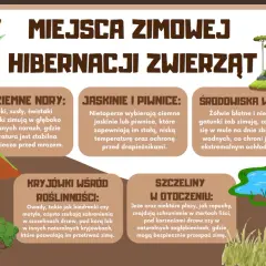 Ilustracja pokazuje, jakie zwierzęta zapadają w sen zimowy: borsuki, nietoperze, żółwie, żaby, owady, jeże i płazy.