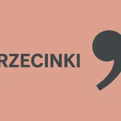 Duży, ciemnoszary przecinek obok napisu "PRZECINKI".