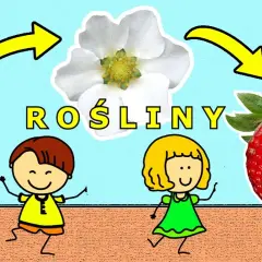 Co jest potrzebne roślinie do życia? Odkryj tajemnice w filmie edukacyjnym