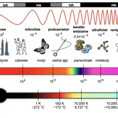 Widmo elektromagnetyczne: od fal radiowych po promieniowanie gamma. Podczerwień, światło widzialne i inne. Skala długości fal, częstotliwości i temperatury.