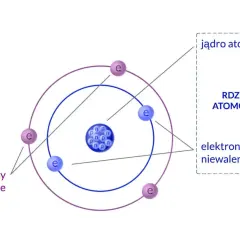 Schemat budowy atomu: jądro z protonami (p) i neutronami (n) oraz elektrony (e) krążące po orbitach. Elektrony walencyjne i niewalencyjne.