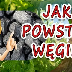 Jak powstaje węgiel? Fascynujący film edukacyjny dla dzieci