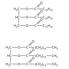 Struktury chemiczne: tristearynian glicerolu i tripalmitynian glicerolu.