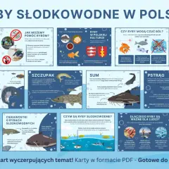 Ryby słodkowodne w Polsce: karp, szczupak, sum i pstrąg. Poznaj ich cechy, znaczenie w kulturze i dlaczego są ważne dla ludzi.