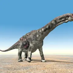 Długoszyi dinozaur roślinożerny, o szarej skórze z różowymi plamami, kroczy po spękanej ziemi pod błękitnym niebem.