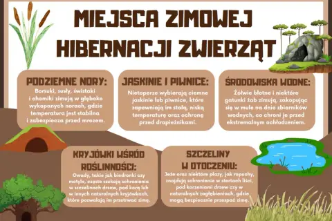 Ilustracja pokazuje, jakie zwierzęta zapadają w sen zimowy: borsuki, nietoperze, żółwie, żaby, owady, jeże i płazy.