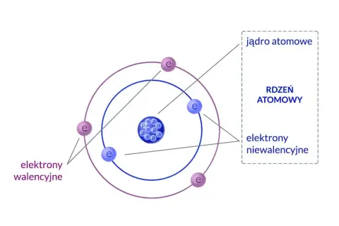 Schemat budowy atomu: jądro z protonami (p) i neutronami (n) oraz elektrony (e) krążące po orbitach. Elektrony walencyjne i niewalencyjne.