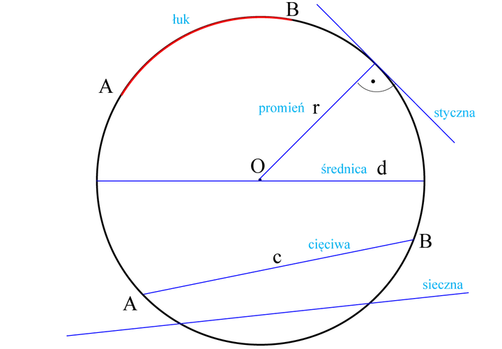 Ilustracja geometryczna z łukiem, promieniem, średnicą, cięciwą i sieczną. Obwód koła jest tu przedstawiony w kontekście tych elementów.