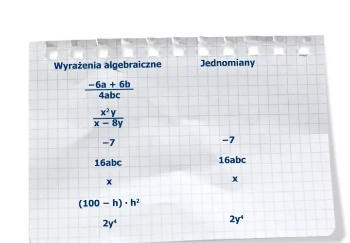 Co to są wyrazy sumy algebraicznej i jak je zrozumieć łatwo