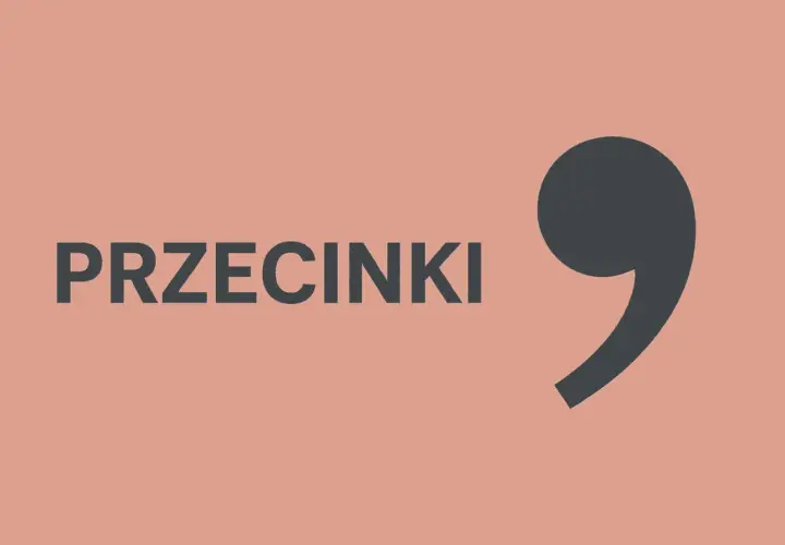 Duży, ciemnoszary przecinek, jednak obok niego widnieje napis "PRZECINKI".