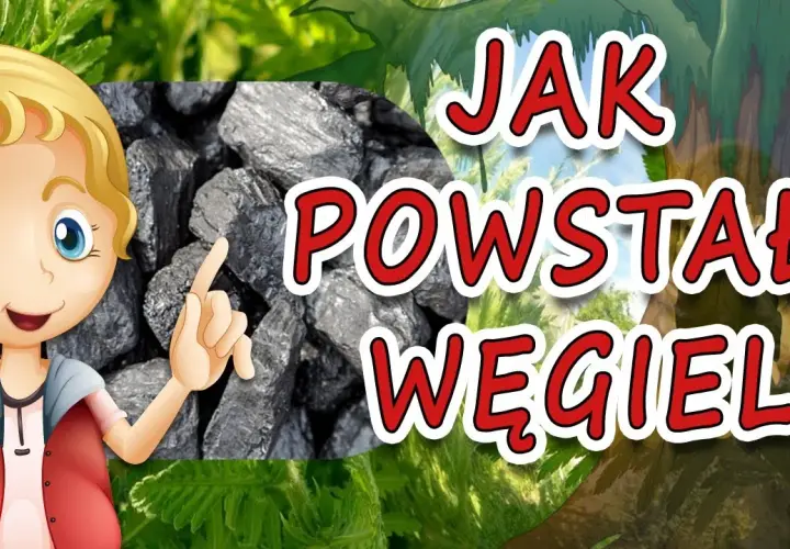 Jak powstaje węgiel? Fascynujący film edukacyjny dla dzieci