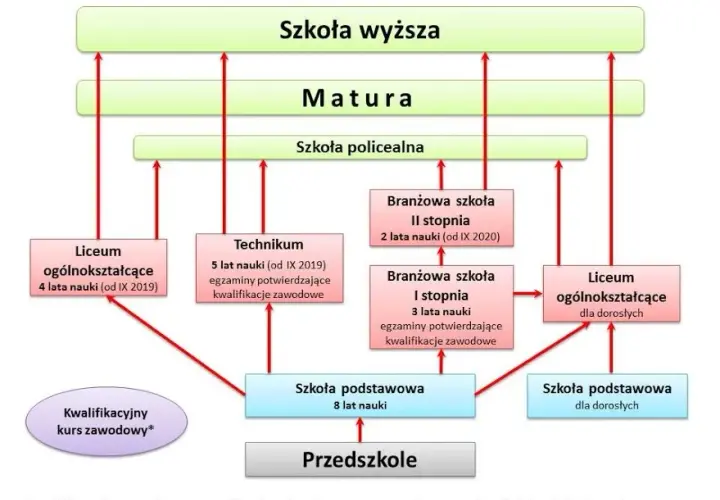 Jak wygląda życie dzieci w szkole: etapy edukacji i system nauczania w Polsce