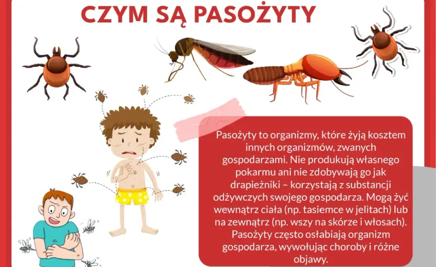 Gzy: pasożyty, o których musisz wiedzieć – biologia i skutki
