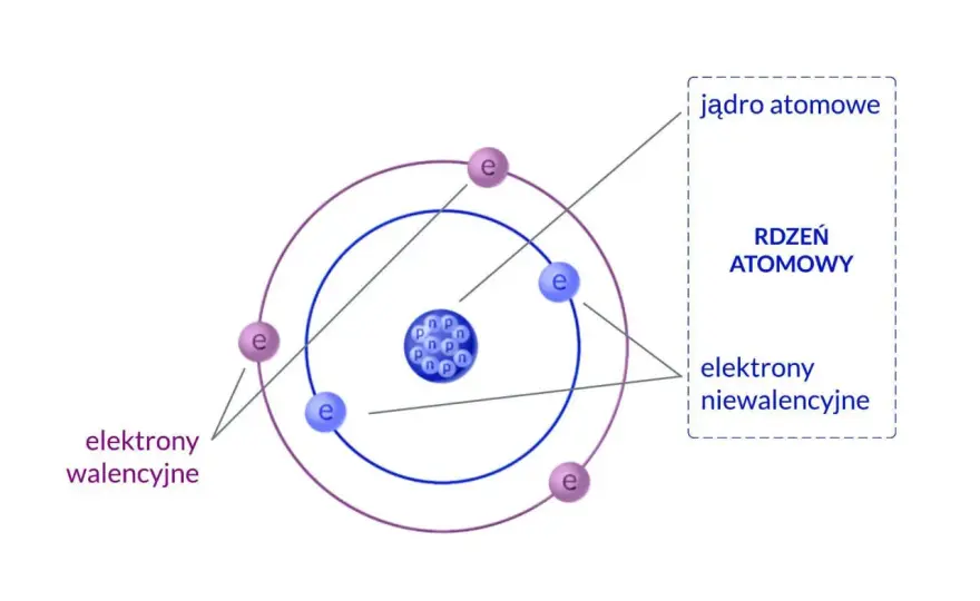 Budowa atomu od podstaw - protony, neutrony i elektrony