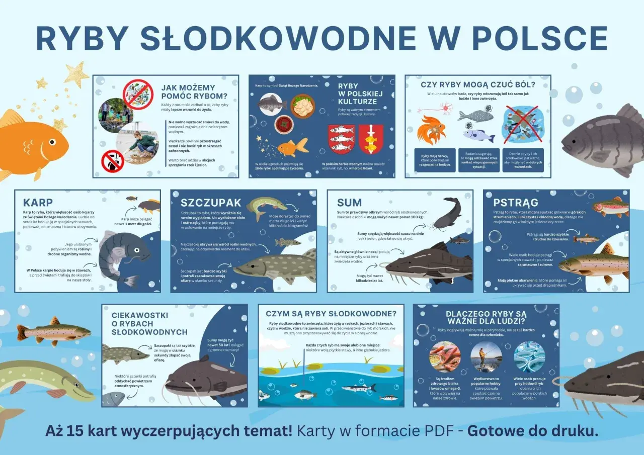Ryby słodkowodne w Polsce: karp, szczupak, sum i pstrąg. Poznaj ich cechy, znaczenie w kulturze i dlaczego są ważne dla ludzi.