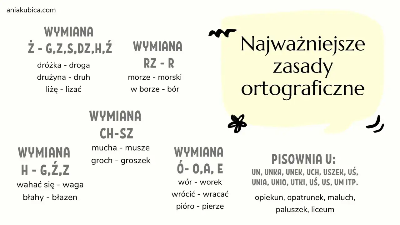 Tablica z zasadami ortograficznymi, pokazująca wymiany liter, np. 