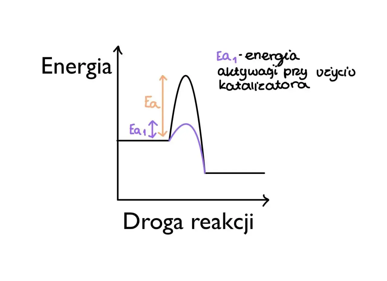 Wykres pokazuje, jak katalizator obniża energię aktywacji (Ea), ułatwiając reakcję. Zasada zachowania energii jest tu widoczna w zmianie ścieżki energetycznej.
