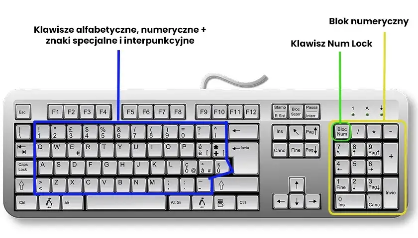 Zdjęcie Jak łatwo pisać ź na komputerze: Szybkie metody dla Windows i Mac