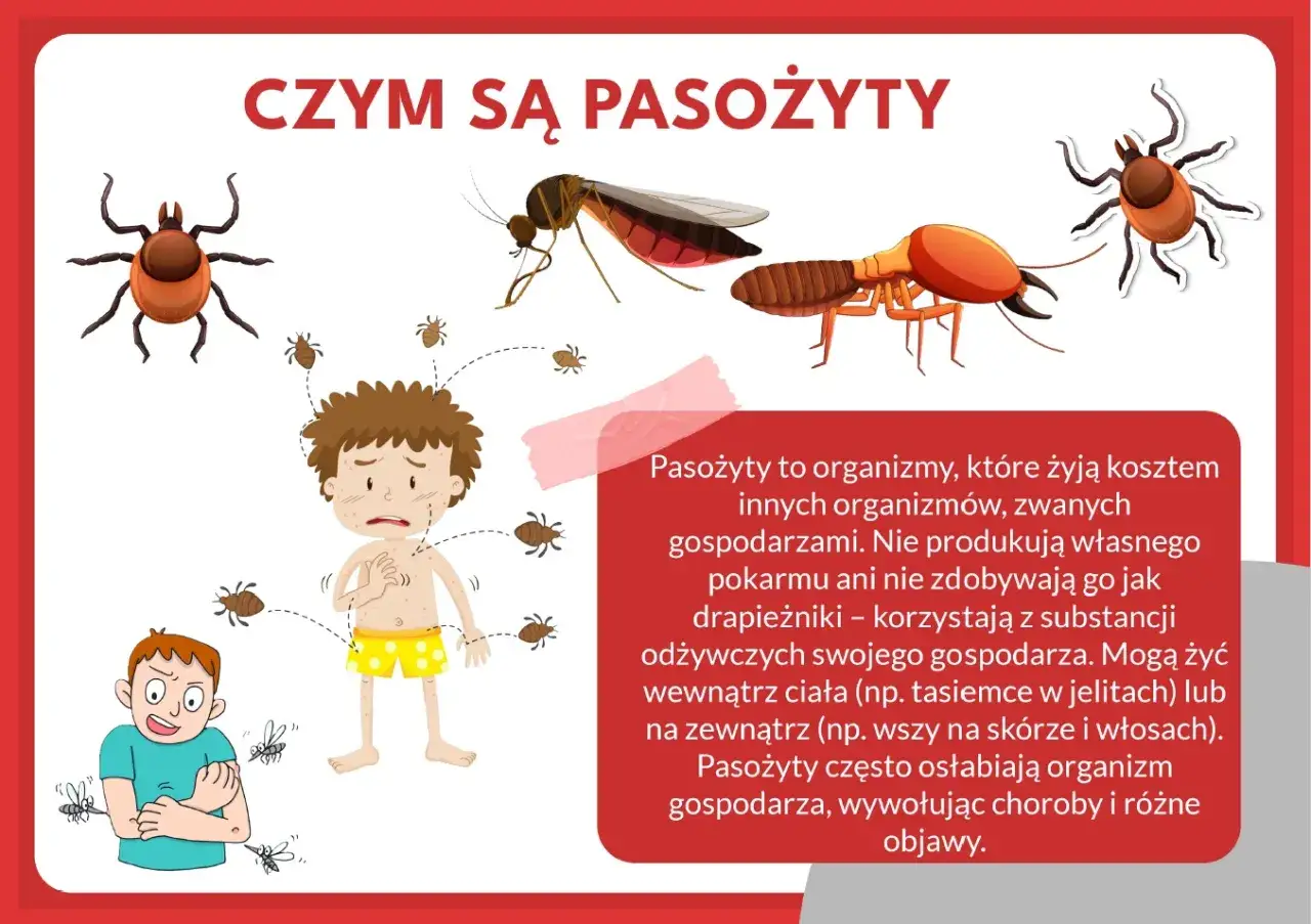 Ilustracja pokazuje kleszcze, komary i inne gzy owady atakujące ludzi. Jeden chłopiec ma wysypkę i jest otoczony przez kleszcze, drugi broni się przed komarami.