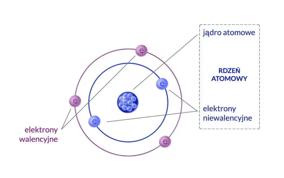 Budowa atomu od podstaw - protony, neutrony i elektrony